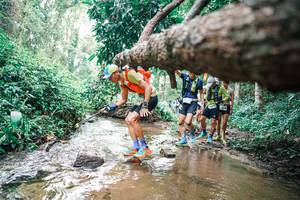 BIB: 
                            <button type="button" onclick="openModal(25372817)" class="btn btn-primary btn-sm float-right btn-popup" data-toggle="modal" data-target=".modal-high-quality">
                        <i class="fas fa-shopping-cart"></i> Add to Cart
                    </button>
                                            <button type="button" onclick="isThisMe(25372817, true)" class="btn btn-success btn-sm float-right btn-popup btn-isme hidden" data-toggle="tooltip" data-placement="bottom" title="นี่คือรูปของคุณใช่ไหม คลิกที่นี่เพื่อเอาเข้าอัลบั้ม">
                        <i class="fas fa-plus"></i> Add to album
                    </button>
                    <button type="button" onclick="isThisMe(25372817, false)" class="btn btn-warning btn-sm float-right btn-popup btn-isnotme hidden">
                        <i class="fas fa-ban"></i> Remove from album
                    </button>